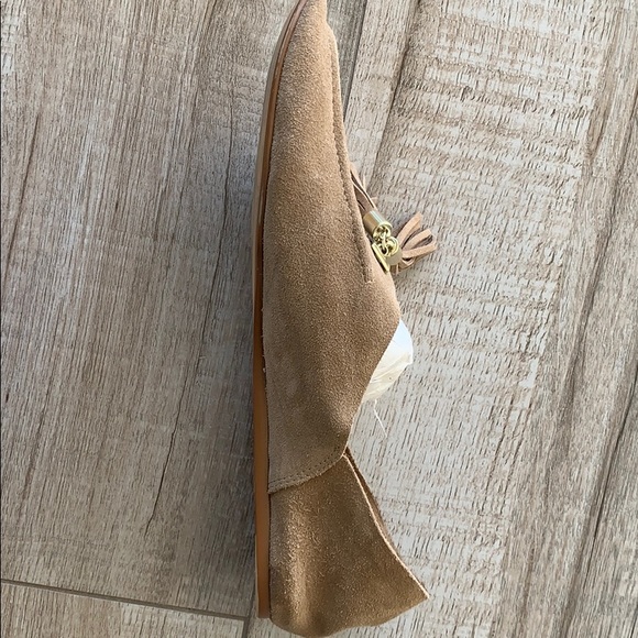 Zara - Picture 4 of 6